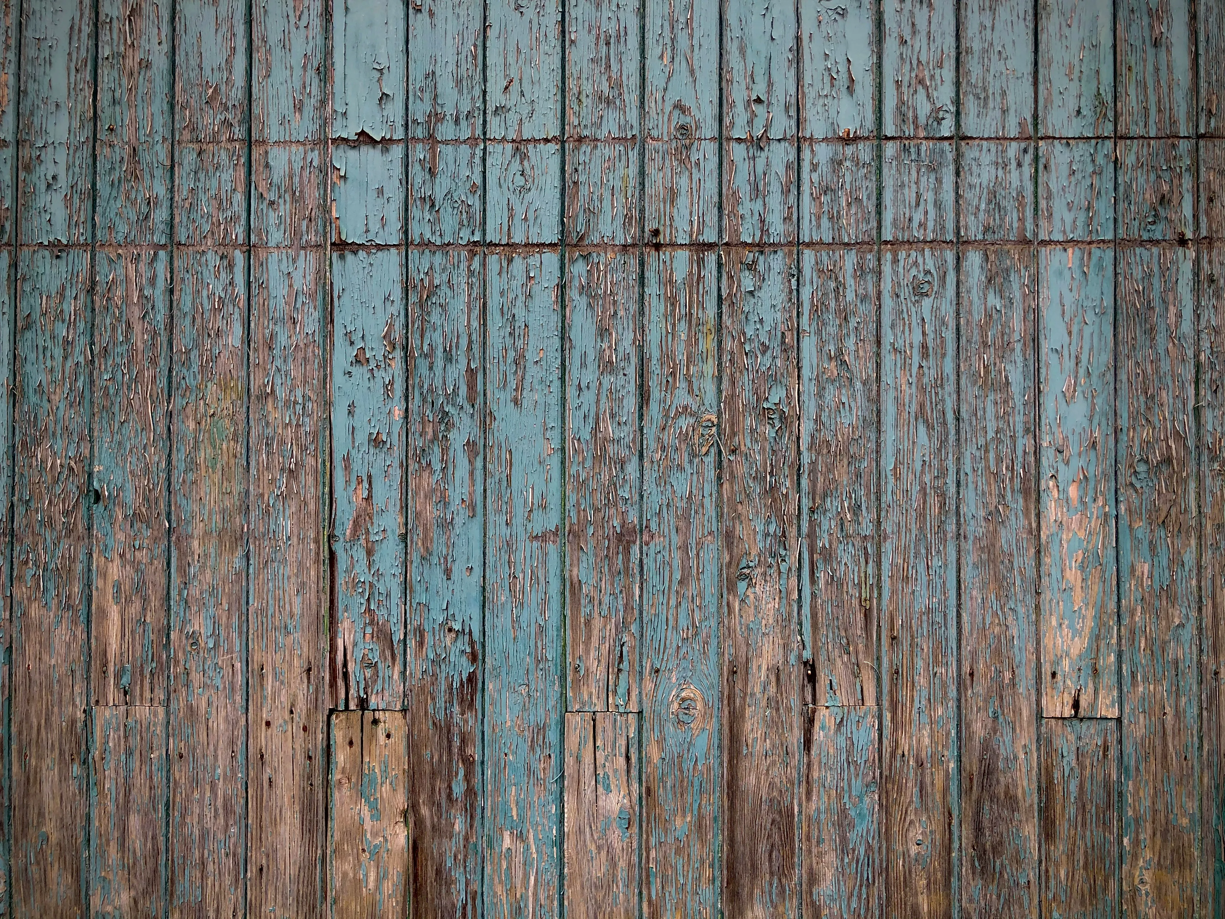 Pete Willis Ndat1kbm Qw Unsplash